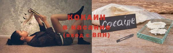 стафф Алексин