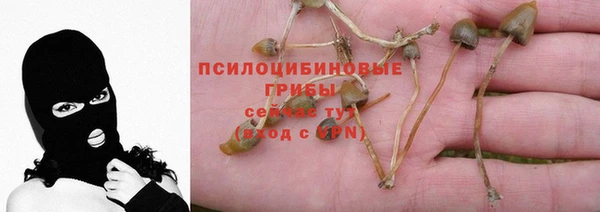 эйфоретик Алзамай