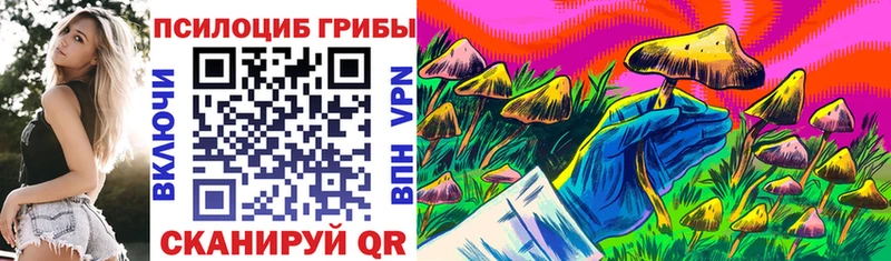 Галлюциногенные грибы Cubensis  darknet какой сайт  Новоуральск 